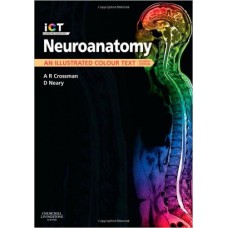 Neuroanatomy