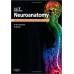 Neuroanatomy