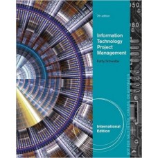 Information Technology Project Management