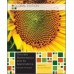 Discrete Mathematics and Its Applications