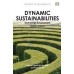 Dynamic Sustainabilities
