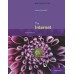 New Perspectives On The Internet: Comprehensive