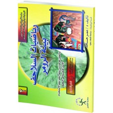 رياضيات السلاحف ج2 - بيئة الرومر
