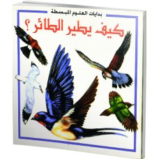 كيف يطير الطائر