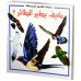 كيف يطير الطائر