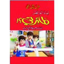 لماذا لم تطر طائرتي