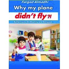why my plane didn't fly?